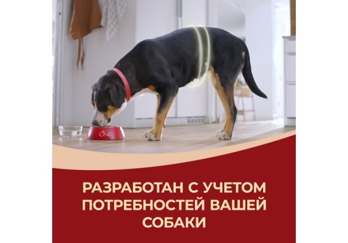PURINA ONE ADULT / Сухой корм Пурина УАН для взрослых собак средних и крупных пород с говядиной