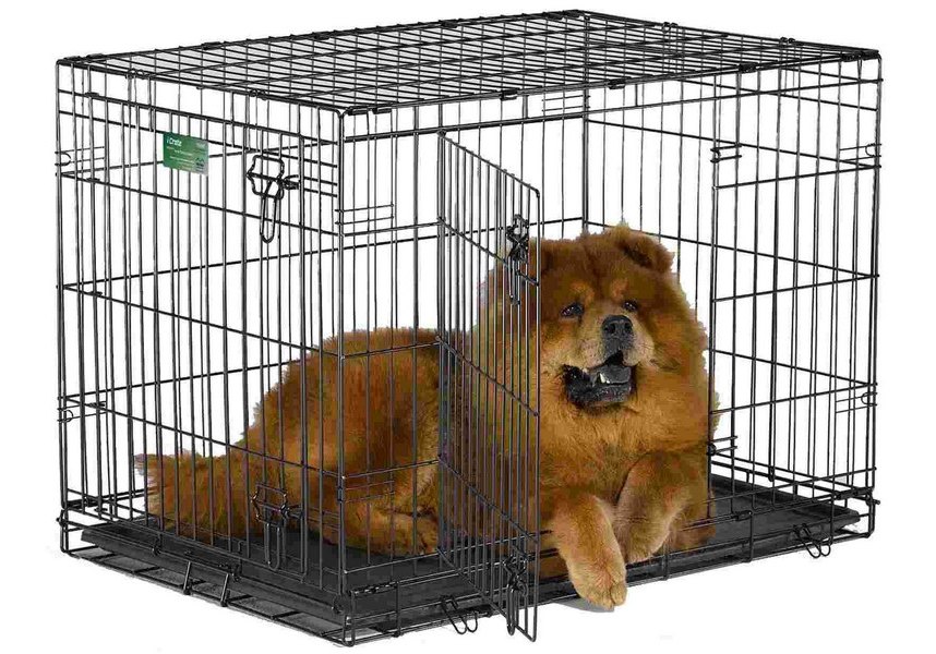 MidWest iCrate Double Door Dog Crate / Клетка Мидвест 2 двери Черная  36)91х58х64h см купить в Москве по низкой цене 8 420₽ | интернет-магазин  ZooMag.ru