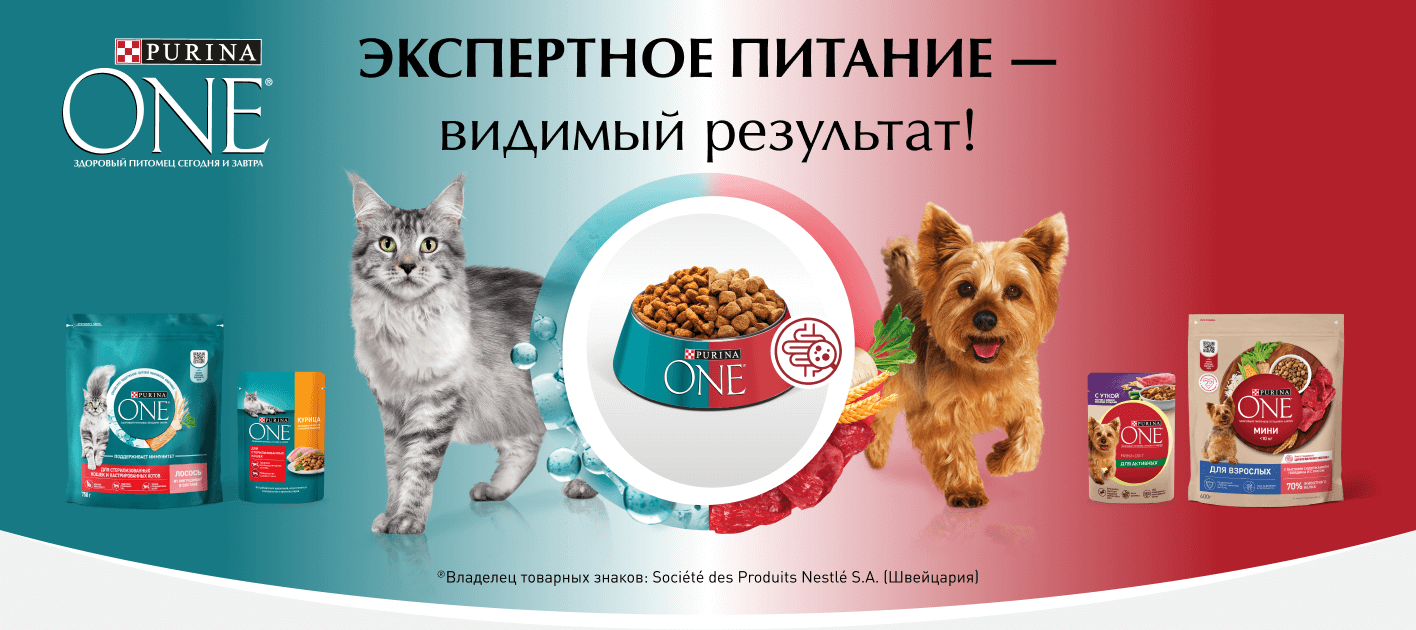PurinaOne